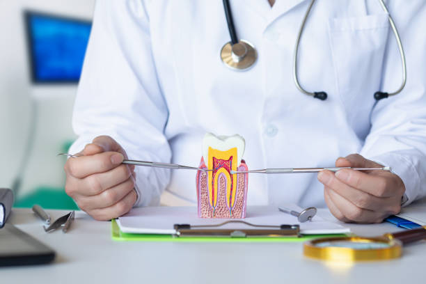Best Cracked Tooth Emergency Dentist  in Munday, TX